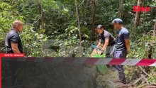 Lelaki Kemboja diberkas tebang pokok gaharu di Taman Botanikal