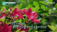 11kg 감량 비결은 '이것'? 산속에서도 챙겨 먹는 건강 아이템