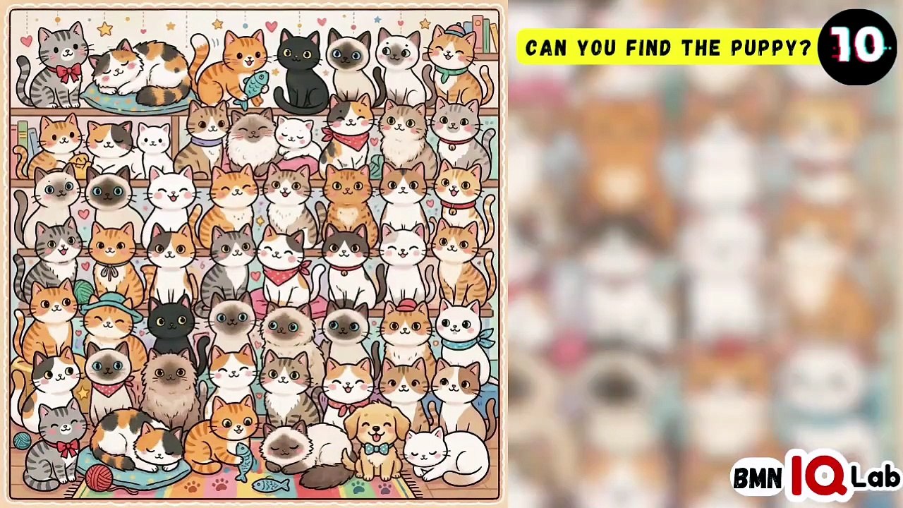 #YourEyesVsThePuppy 👀⚔️🐕 Can You Find the Puppy? 🐶