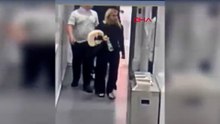 İstanbul Havalimanı’nda 19 kilogram uyuşturucuyla yakalanan 2 İngiliz yolcu kamerada
