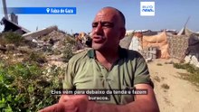 Roedores atacam deslocados em Gaza aumentando receios de uma catástrofe sanitária
