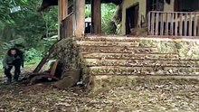 Novela Força de um Desejo (1999) - Higino cria emboscada para matar Inácio