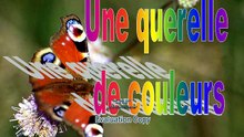 "Querelle d'Aquarelle".