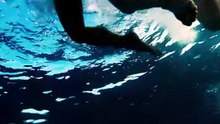 Shark - L'appât - Film Complet en Français [Full Movie] [New Drama]Full EP - Full