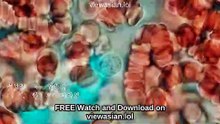 #Alive (2020) Full Movie English Sub [Full Movie] [Latest Version]Full EP - Full