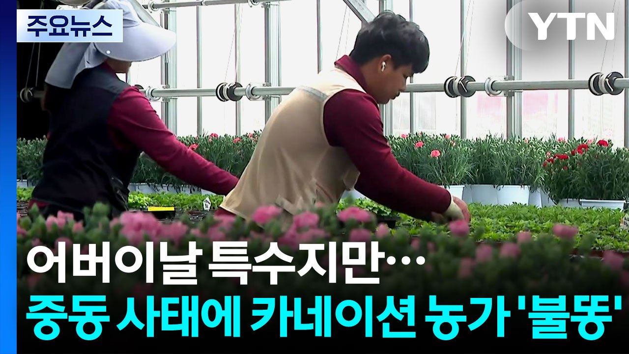 어버이날 특수지만...중동 사태에 카네이션 농가도 걱정 / YTN