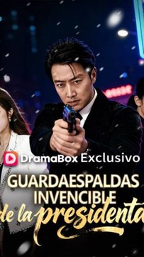 Guardaespaldas Invencible De La Presidenta - Serie Completa Drama Moderno