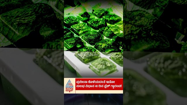 ಪುದೀನಾ ಕೊಳೆಯದಂತೆ ಇಡೋ ಸುಲಭ ವಿಧಾನ | #mintleaves #kithen #suvarnanews