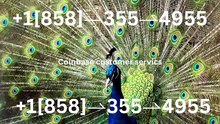 !!!!Complete List of Official Coinbase Customer Service Number, HELP-DESK Helpline 24/7