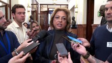 Cristina Valido: "Canarias no conoce los criterios técnicos o científicos para la parada del barco"