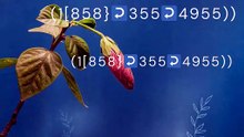 !!Complete™ List of CoinbaseⓃ CUSTOMER© Care℗ (Toll Free Number Support) Numbers A Complete Guide