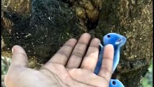 So cute animal