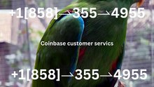 【COINBASE®】Customer- Service And.Support } Number - Complete Guide to Live Chat,, and 24/7 Service Care℗@2o26