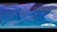 H o n o u r . S 0 1 E 0 6 [Full Movie] [Latest Version]Full EP - Full