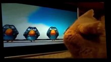 Funny Videos - Funny Animals - Funny Dogs - Funny Cats - Baby Funny - Best Funny Animals 2015