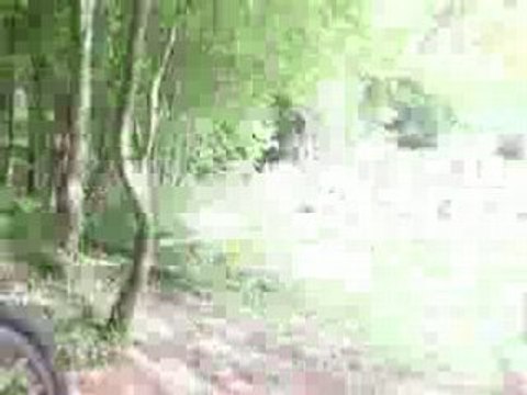 Capturées 2008-5-4 00019