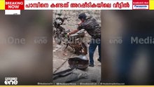 നിർത്തിയിട്ട ബൈക്കിന് ചുറ്റും നടന്ന് നായ കുരച്ചു, നോക്കിയപ്പോൾ സീറ്റിനടിയിൽ മൂർഖൻ...