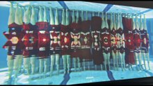 Biennale Arte 2026: Padiglioni Austria e Polonia