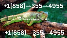 !!≋FAQ&!! ⁂{{ＯFFICIAL}}™⁂GUIDE] Coinbase® HELP DESK© &SUPPoRT℗ Phone NuMber [TOLL FREE]