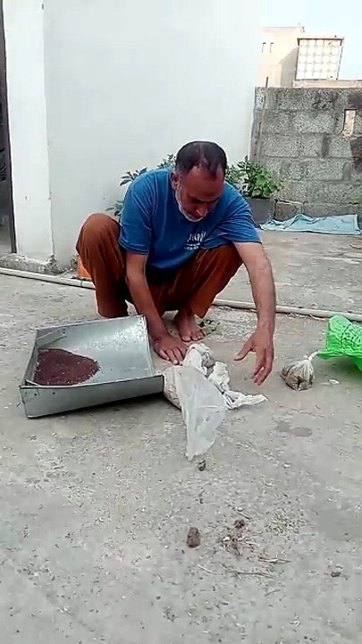 VID20260507063217