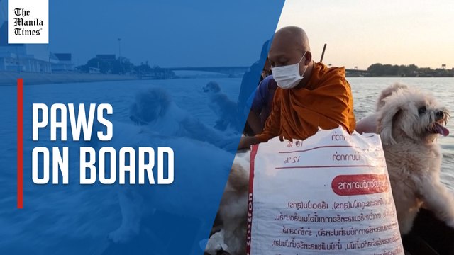 Thai monk and temple dogs lift hearts along sacred river