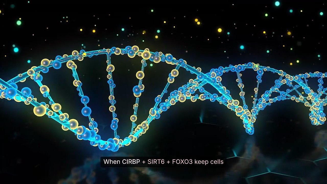 THE FUTURE OF HUMAN LONGEVITY PART 5b OF 5