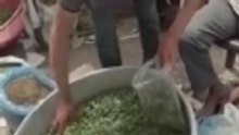 سجائر الملوخية في غزة… بديل قاسٍ