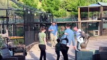 It was mayhem when Milo encountered the Extraordinary Portraits film crew at Wildlife Exotic Rescue