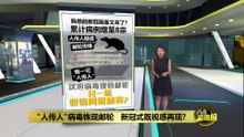 唯一可“人传人”的汉坦病毒！      南非确认乘客感染“安第斯毒株”