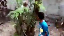 Man caught on camera beating child accused of stealing fruit