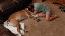 9 Heartfelt Ways to Honor Your Dog's Final Moments