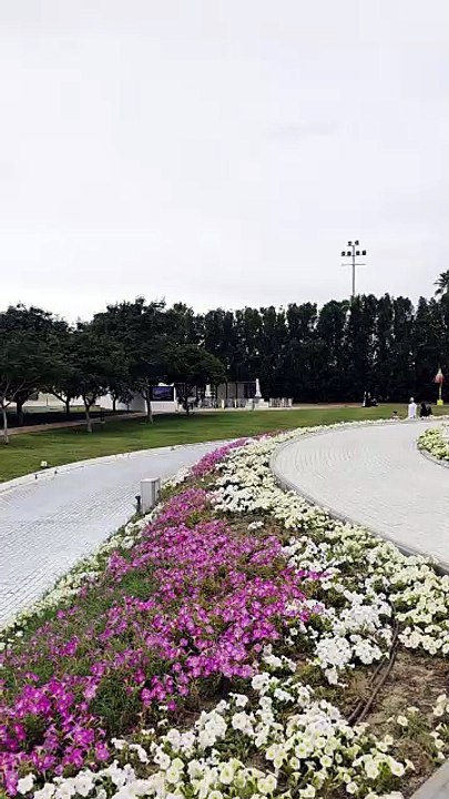 🌼 A Colorful Day at Yanbu Flower Festival | Saudi Arabia’s Floral Paradise.