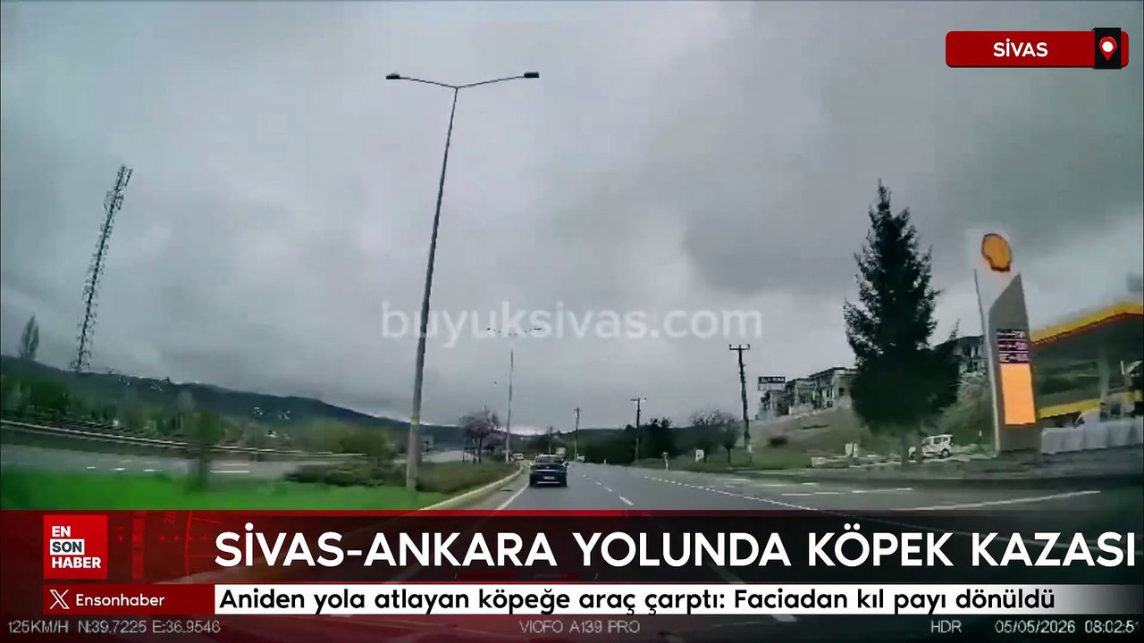 Aniden yola atlayan köpeğe araç çarptı: Faciadan kıl payı kurtuldu