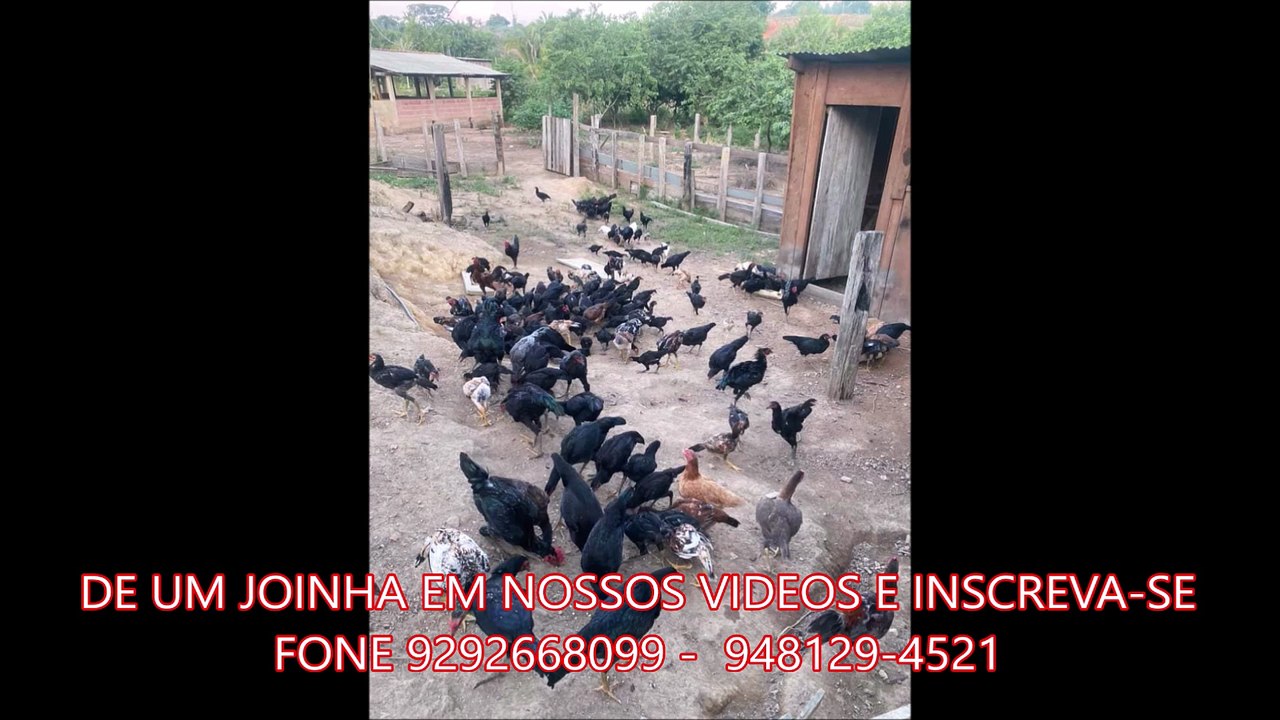 FAZENDA COM 640 ALQUEIRÃO A VENDA CMC
