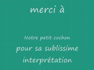 Spider cochon auvergne 08