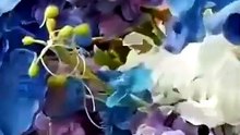 ...Swift ...Vows ...Love ...Story ...Unfolds [Full Movie] [High Quality]Full EP - Full