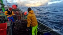 Aussie Lobster Men - Season 5 - Episode 06 Eng Sub_848x480