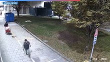 Rapina alle gioiellerie Esp: il video del furto e della fuga