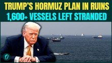 Huge SETBACK For Trump! Over 1600 Stuck in Hormuz As Trump Rolls Back ‘Project Freedom’ Amid War