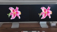 Apple Studio Display vs. New Studio Display XDR: Can You See the Difference?