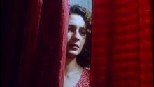 Little Bird (Pajarico) 1997 Spanish drama film