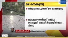 തിരുവനന്തപുരത്ത് കനത്ത മഴ; മരം വീണ് തെങ്കാശി സംസ്ഥാനപാതയിൽ ഗതാഗതം തടസ്സപ്പെട്ടു
