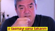 O Tasmayı Sana Takarım! "Böyle Hayvanseverlik Olur mu?"