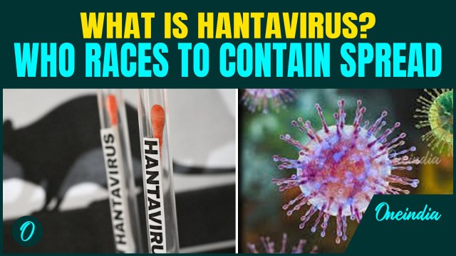 What is Hantavirus? WHO Sounds Global Alarm as Outbreak Reaches 12 Nations | How Does It Spread?