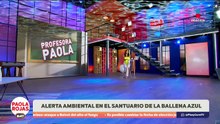 ¿Qué tanto conoces de la Ballena Azul? | De Pisa y Corre con Paola Rojas