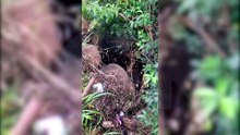 Moradora denuncia despejo de esgoto no Rio Quati em Cascavel