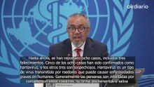 La OMS confirma 5 contagios de hantavirus de los 8 sospechosos detectados a bordo del Hondius