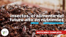 Insectos, el alimento del futuro alto en nutrientes | 862 | 11 al 17 de mayo de 2026