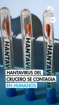 Hantavirus del crucero se contagia en humanos