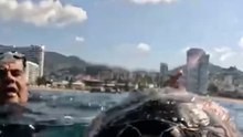 Hilos de papalote causan la muerte de tortugas marinas en Acapulco